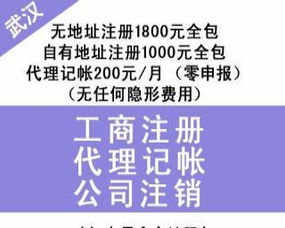 漢口專業(yè)財(cái)稅服務(wù) 財(cái)務(wù)代理、內(nèi)賬外賬管理、一般納稅人申請(qǐng)、清理舊賬與代辦貸款申報(bào)一站式解決方案
